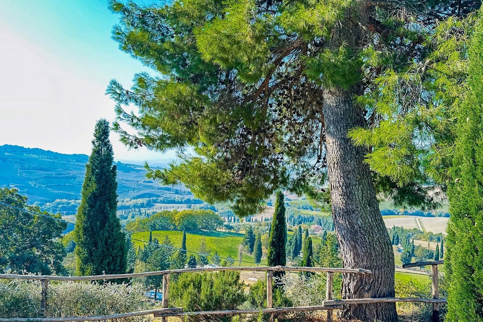 Cypress trees and clipped hedges in a Tuscan garden above the hills