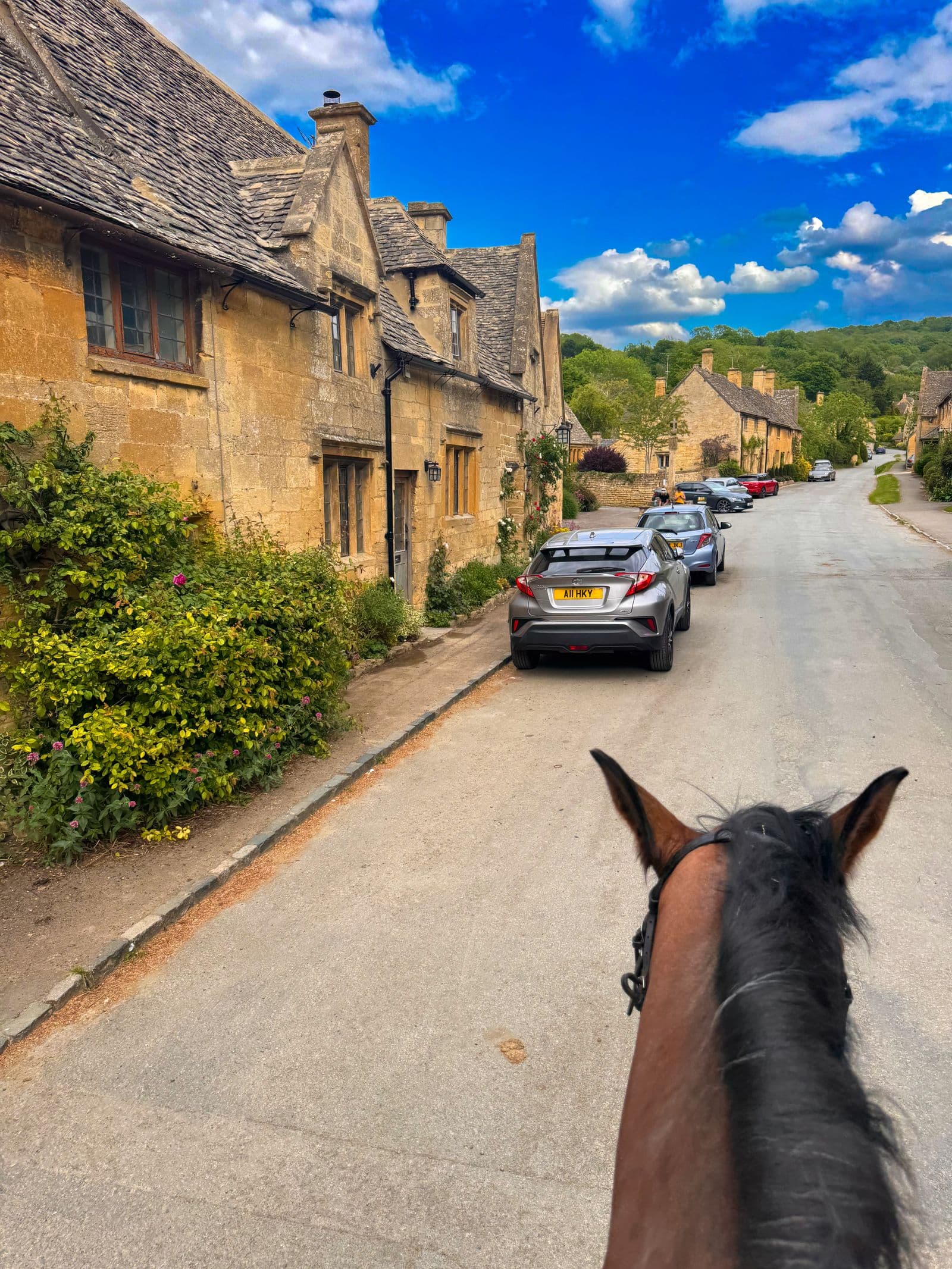 The view between a horse's ears down a quiet Cotswolds village street