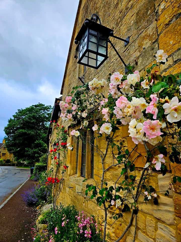 Pale roses climbing the honey-colored stone wall of a Cotswolds cottage beneath a lantern
