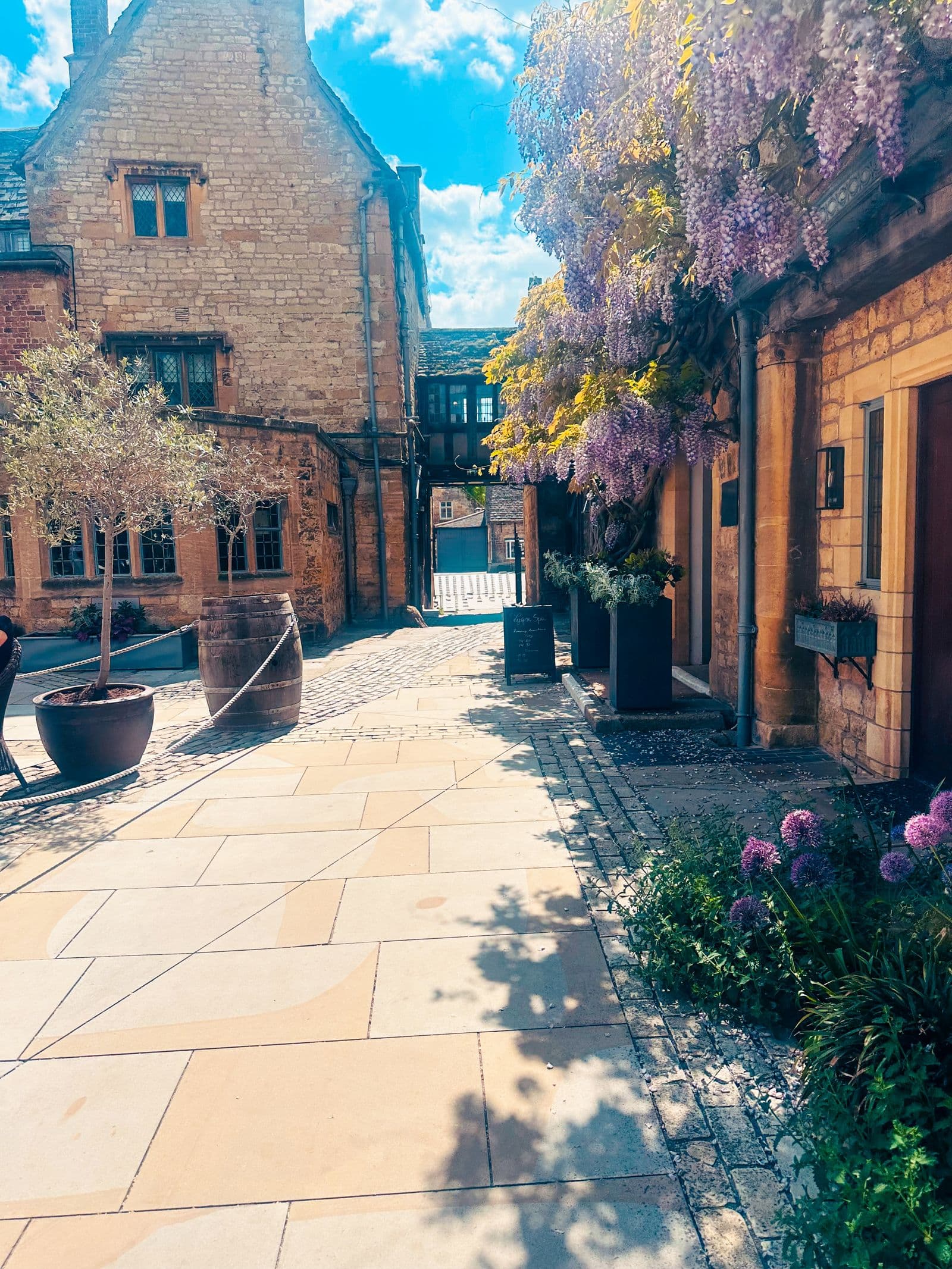 Wisteria in flower against the stone wall of a Cotswolds courtyard